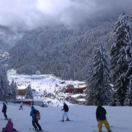 Aspen Mountain Retreat At Aspen Golf & Razlog