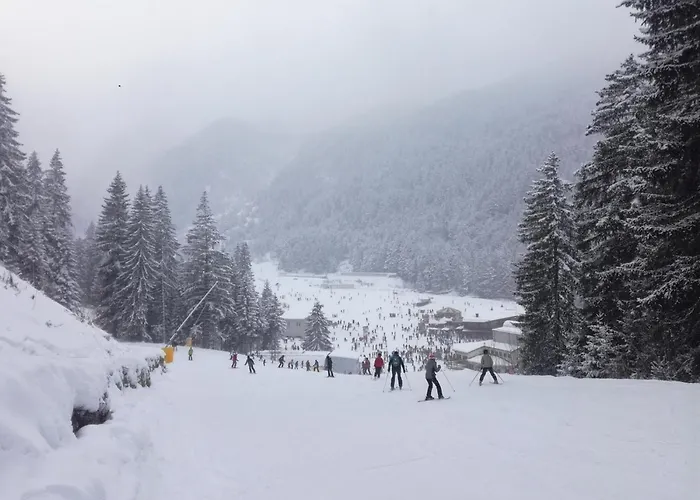 Appartement Aspen Mountain Retreat At Aspen Golf & Razlog